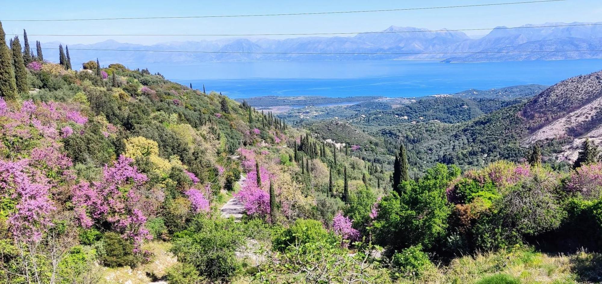 شقة Castello Di Lafki Corfu  المظهر الخارجي الصورة